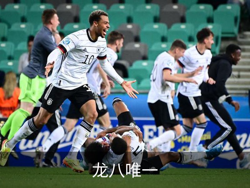 龙八唯一介绍